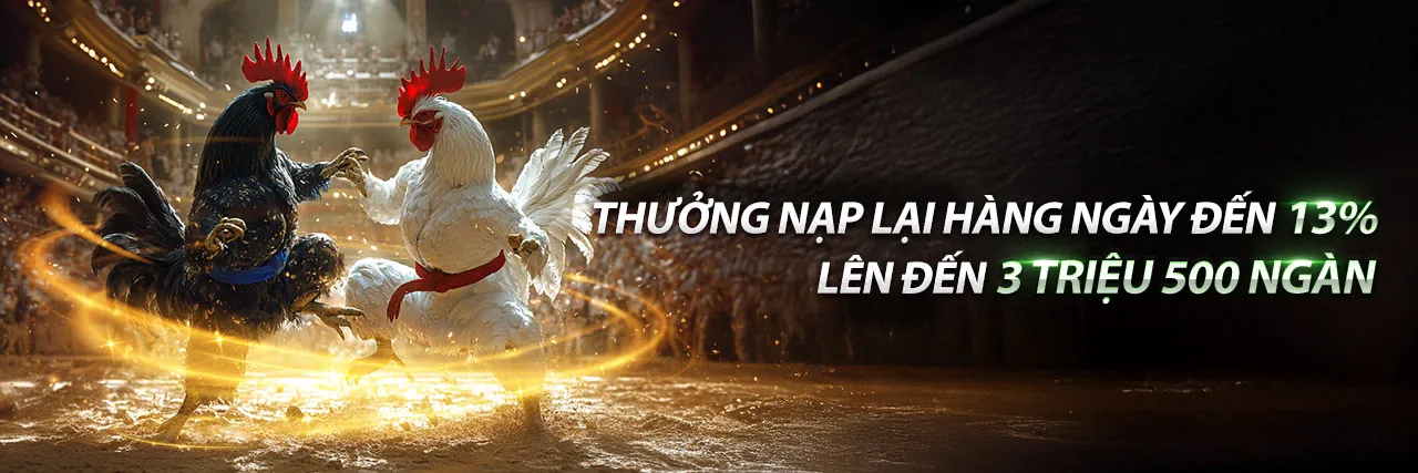 Đá gà trực tuyến v9betz với các trận đấu kịch tính